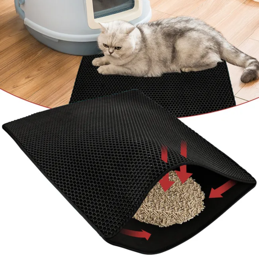 AbsorbaLitière