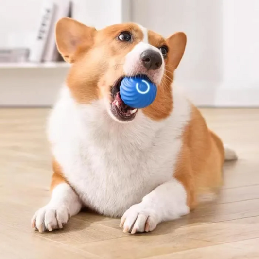 Training Ball