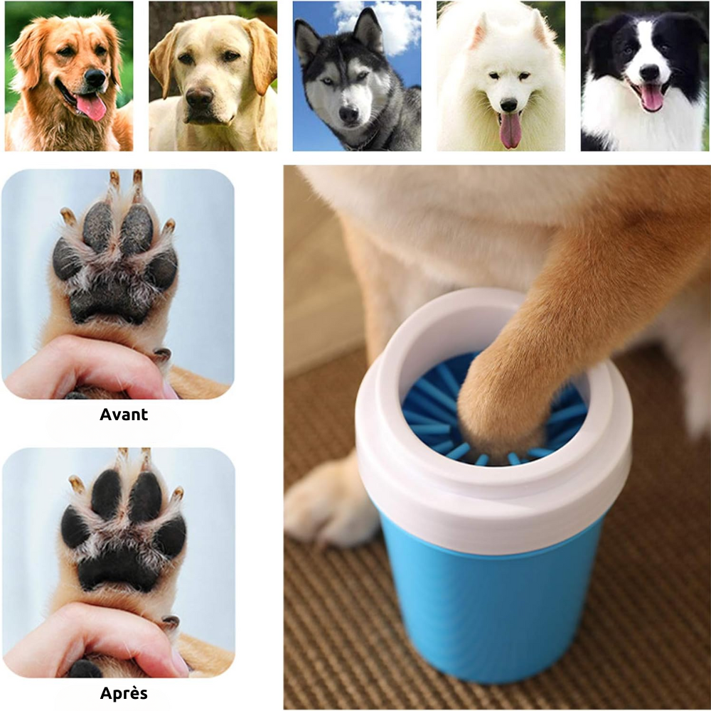 CleanPaws