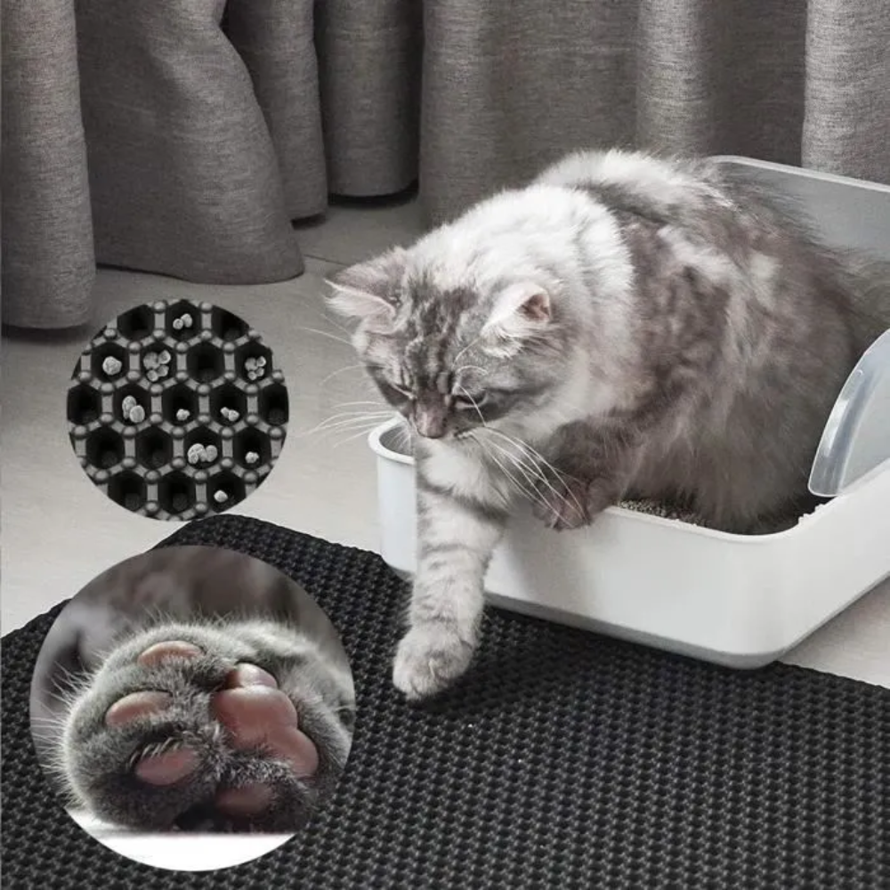 AbsorbaLitière