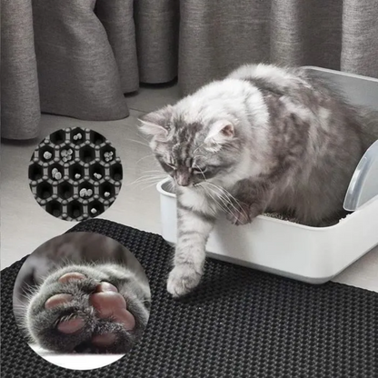 AbsorbaLitière